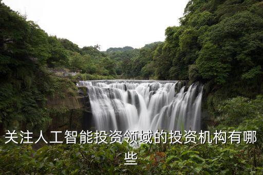 最好的人工智能基金公司，國內(nèi)都哪些比較牛的人工智能公司