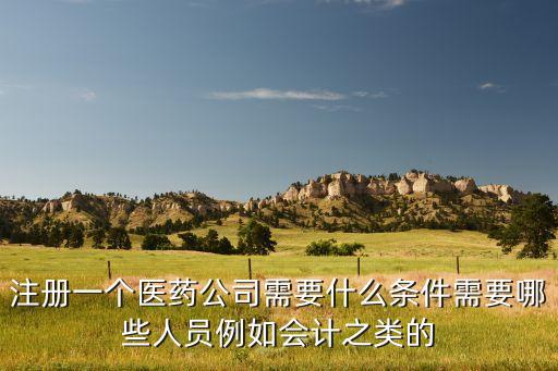 注冊一個醫(yī)藥公司需要什么條件需要哪些人員例如會計之類的