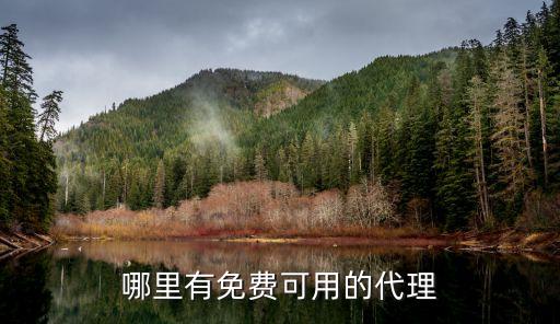 免費(fèi)代理，有什么免費(fèi)的代理