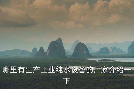 哪里有生產(chǎn)工業(yè)純水設(shè)備的廠家介紹一下