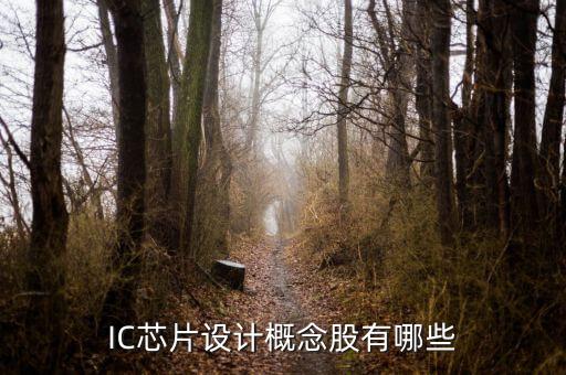 IC芯片設計概念股有哪些