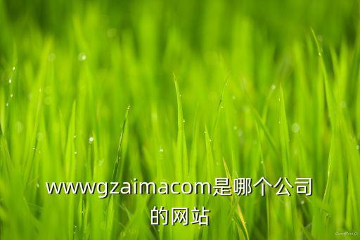 wwwgzaimacom是哪個公司的網(wǎng)站