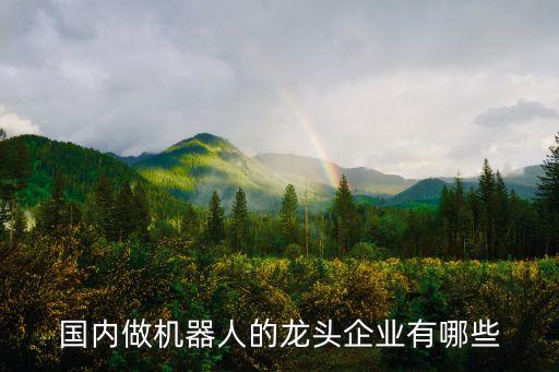 國(guó)內(nèi)智能機(jī)器人龍頭，國(guó)內(nèi)做機(jī)器人的龍頭企業(yè)有哪些