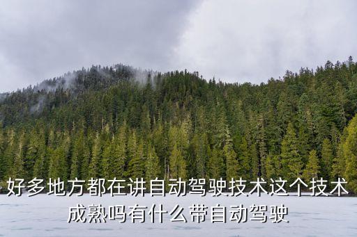 好多地方都在講自動駕駛技術(shù)這個技術(shù)成熟嗎有什么帶自動駕駛