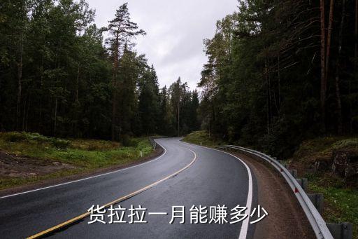 哆來咪平臺一個月掙多少，有自己的平臺一個月可盈利多少啊懂得說說