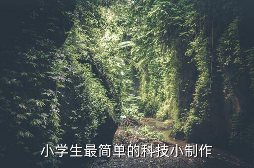 小學(xué)生最簡單的科技小制作