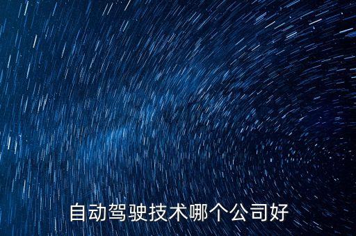 自動駕駛技術哪個公司好