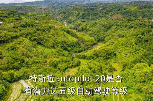 特斯拉autopilot 20是否有潛力達(dá)五級自動駕駛等級