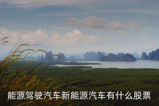 能源駕駛汽車新能源汽車有什么股票