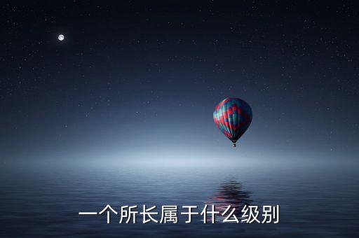 人工智能研究所所長什么級別，發(fā)改委下屬的各個研究所的所長是什么行政職級啊