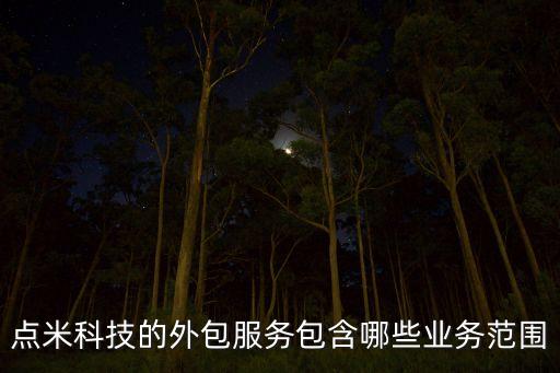 點(diǎn)米科技是外包公司，點(diǎn)米科技的外包服務(wù)包含哪些業(yè)務(wù)范圍