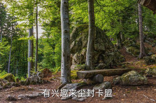 原神卡盟平臺官網(wǎng)，卡盟后臺網(wǎng)址