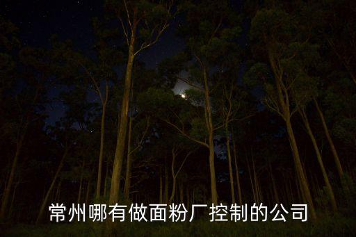 常州東杰自動(dòng)化設(shè)備有限公司，常州哪有做面粉廠控制的公司