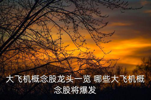 大飛機概念股龍頭一覽 哪些大飛機概念股將爆發(fā)