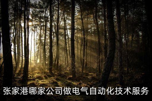 張家港哪家公司做電氣自動化技術服務