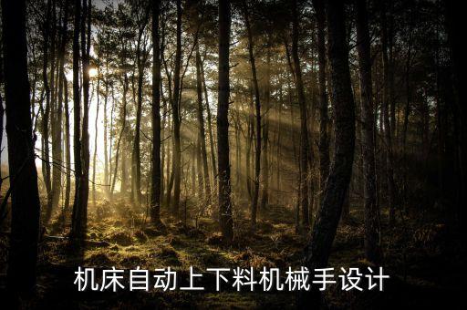 機(jī)床自動上下料機(jī)械手設(shè)計