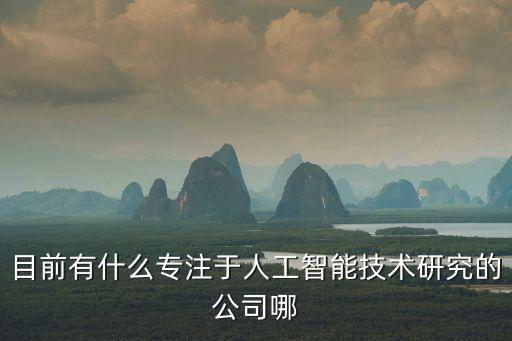 目前有什么專注于人工智能技術(shù)研究的公司哪