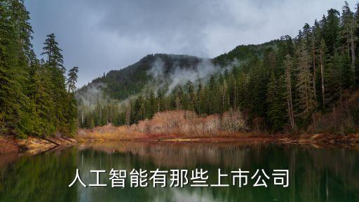 人工智能的上市公司有哪些，A股有哪些人工智能概念股