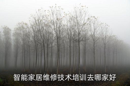 智能家居維修技術(shù)培訓(xùn)去哪家好