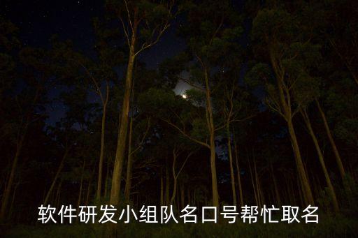 軟件研發(fā)小組隊(duì)名口號幫忙取名