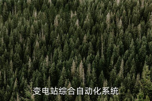 變電站綜合自動(dòng)化系統(tǒng)的組成，什么是變電站綜合自動(dòng)化系統(tǒng)