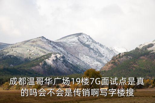 成都溫哥華廣場19樓7G面試點是真的嗎會不會是傳銷啊寫字樓搜
