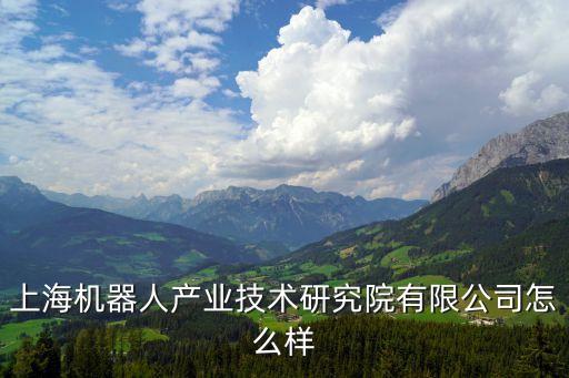上海人工智能研究院是國(guó)企嗎，上海的研究所是如何分資質(zhì)的