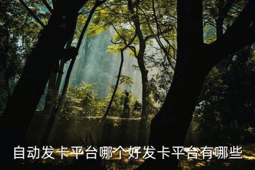 自動發(fā)卡平臺哪個好發(fā)卡平臺有哪些