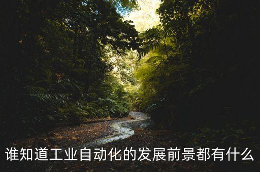 誰知道工業(yè)自動化的發(fā)展前景都有什么