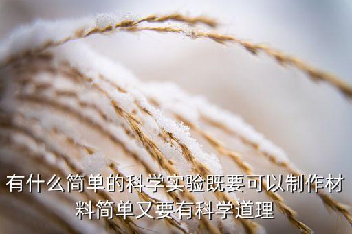 有什么簡單的科學(xué)實(shí)驗(yàn)既要可以制作材料簡單又要有科學(xué)道理
