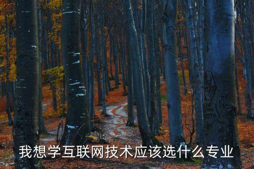 互聯(lián)網(wǎng)技術(shù)有哪些專業(yè)，互聯(lián)網(wǎng)專業(yè)包括什么