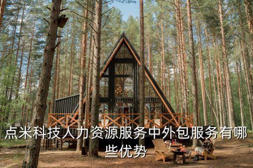 點米科技是外包嗎，點米科技的外包服務包含哪些業(yè)務范圍