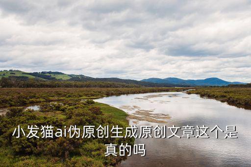 小發(fā)貓ai偽原創(chuàng)生成原創(chuàng)文章這個(gè)是真的嗎