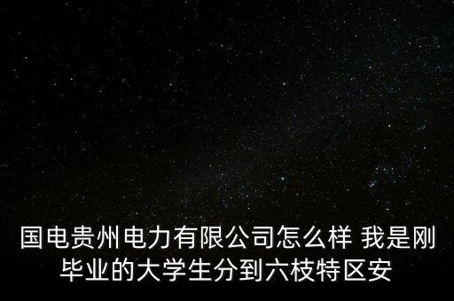 貴陽天毅電力有限公司怎么樣，國電貴州電力有限公司怎么樣 我是剛畢業(yè)的大學(xué)生分到六枝特區(qū)安