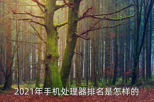 最新高科技手機(jī)排行榜，有什么最新的高科技手機(jī) 好酷的手機(jī)