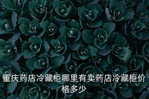 重慶藥店冷藏柜哪里有賣(mài)藥店冷藏柜價(jià)格多少
