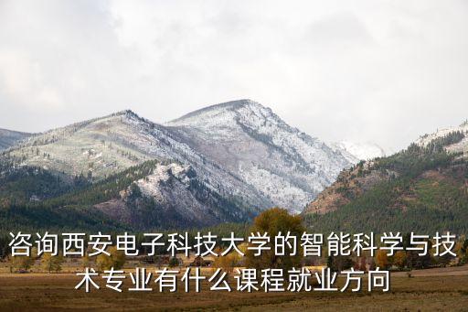 咨詢西安電子科技大學(xué)的智能科學(xué)與技術(shù)專業(yè)有什么課程就業(yè)方向