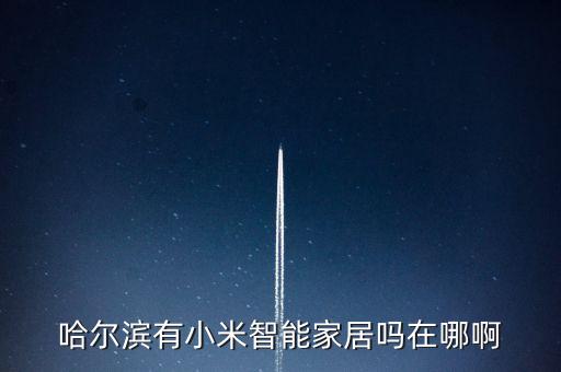 哈爾濱有小米智能家居嗎在哪啊