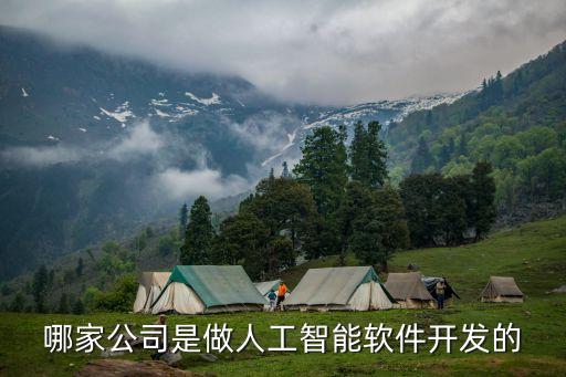 哪家公司是做人工智能軟件開發(fā)的