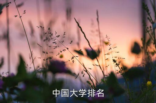 全國高校排大學(xué)排名，中國高校排名