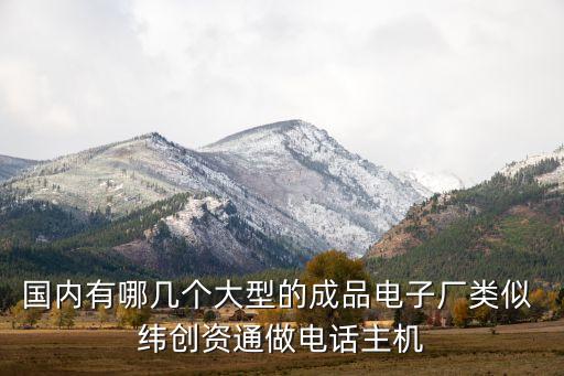 電子生產(chǎn)公司，請(qǐng)問各位大哥大姐們國內(nèi)地區(qū)有哪些大的電子生產(chǎn)商主要生產(chǎn)LCD