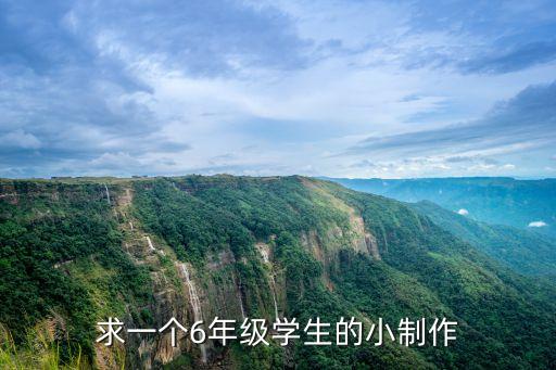 求一個6年級學生的小制作