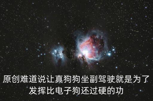 特斯拉坐副駕駛看視頻，斯瑪特副駕駛適合好高的孩子坐