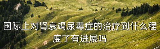國際上對腎衰竭尿毒癥的治療到什么程度了有進展嗎