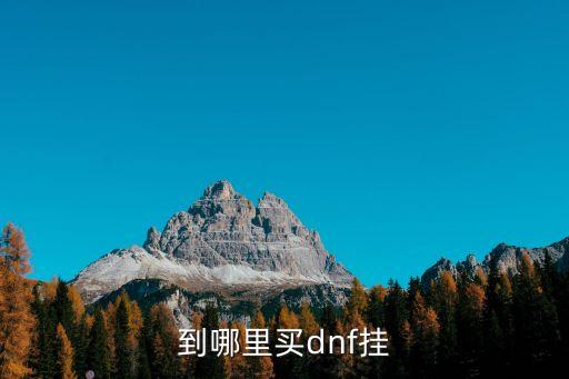 到哪里買dnf掛