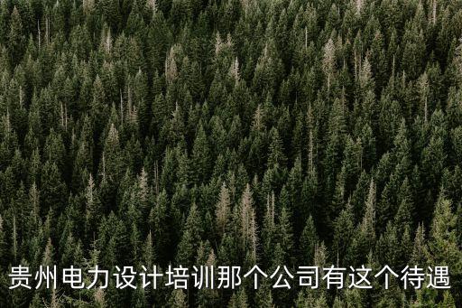 貴州中黔能水利電力建設(shè)有限公司，貴州電力設(shè)計(jì)培訓(xùn)那個(gè)公司有這個(gè)待遇