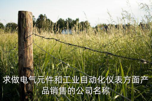 電氣自動化龍頭企業(yè)名單，幫忙找一下國際國內(nèi)比較出名的電子自動化公司名單 如西門子等