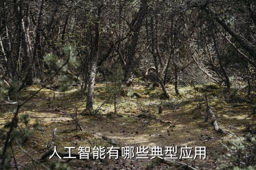 人工智能有哪些典型應(yīng)用