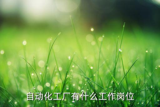 自動化工作崗位有哪些，工業(yè)自動化可以從事哪些職位