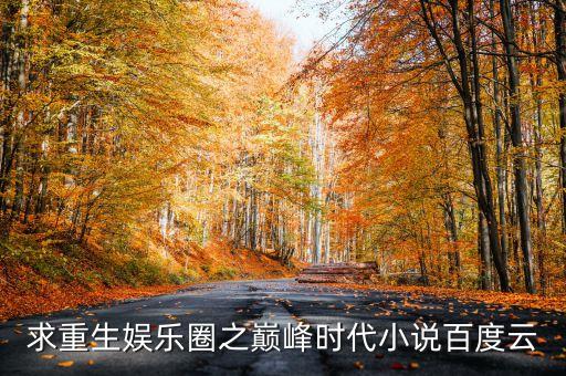 求重生娛樂圈之巔峰時代小說百度云